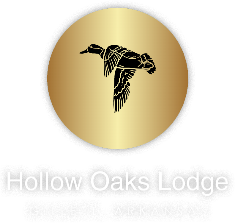 Hollow Oaks Lodge, duck hunting Arkansas